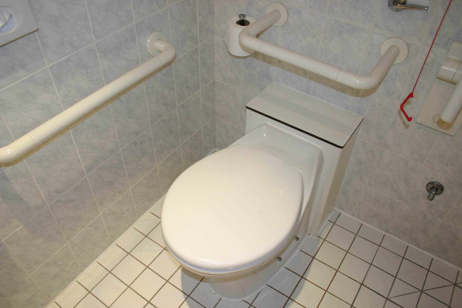 Toilet for Disabled